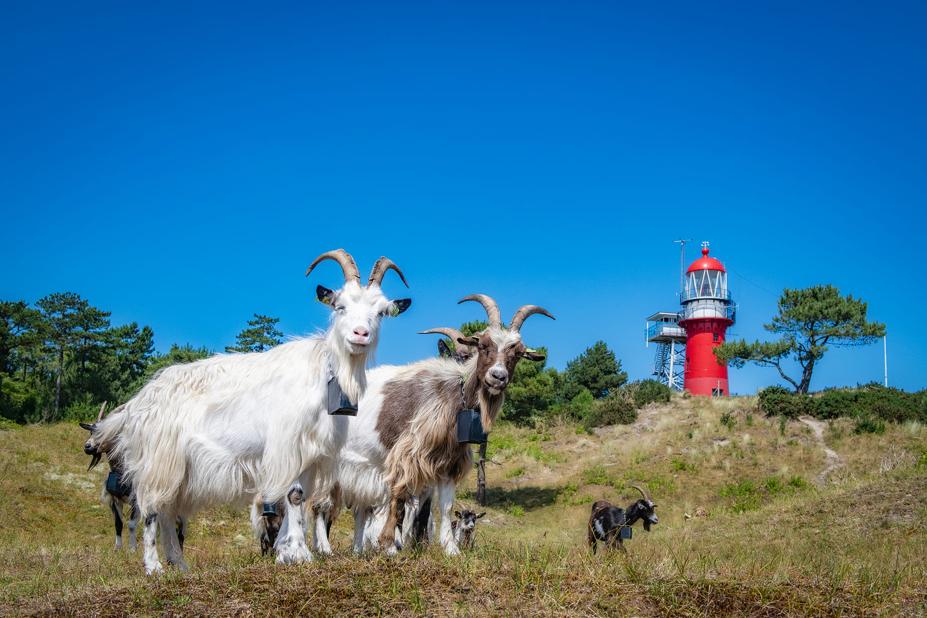Generieke afbeelding van de achtergrond afbeelding