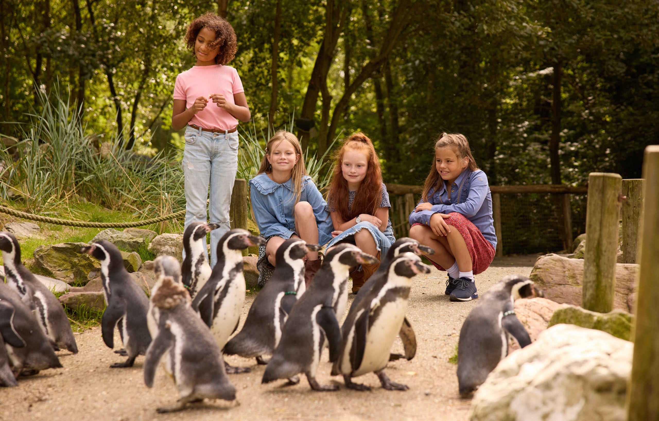 Generieke afbeelding voor image content